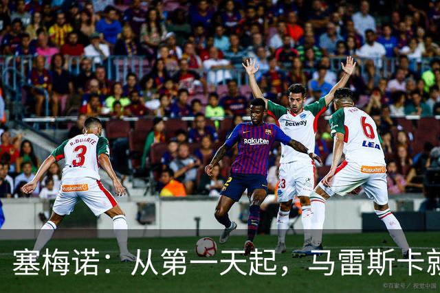 塞梅诺：从第一天起，马雷斯卡就把想法都告诉我们了